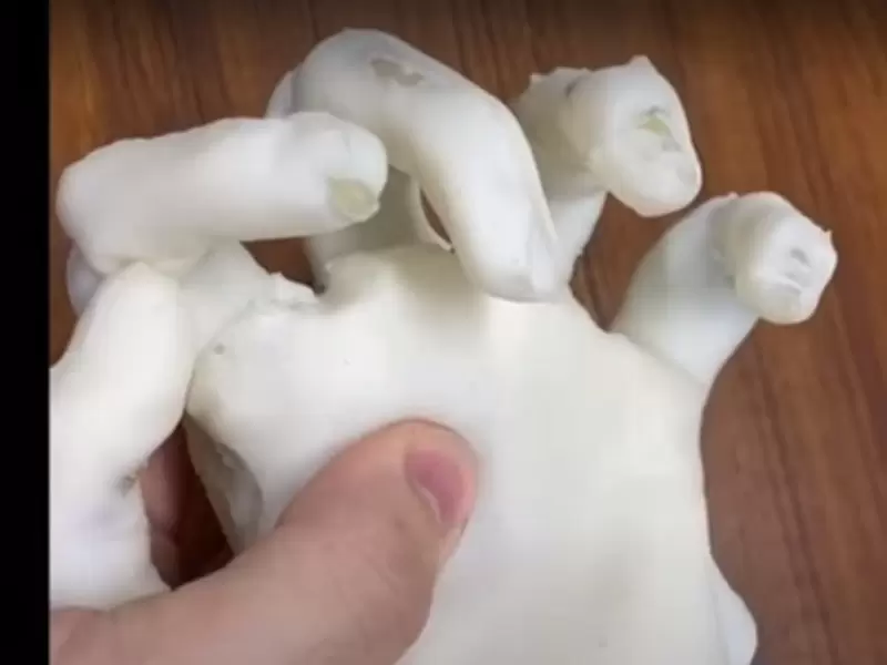 Mano robótica Mano robótica