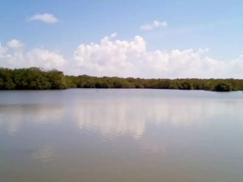 Ciénaga en el Caribe colombiano
