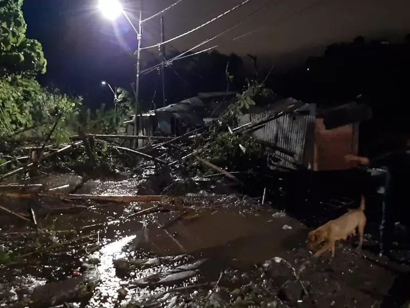 Deslizamiento en barrio Baltazar de Ibagué.