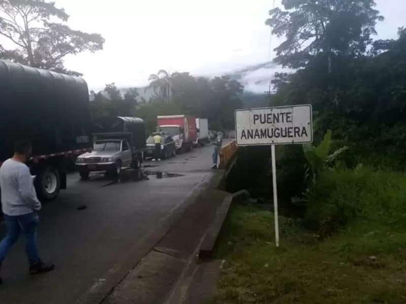 Foto de referencia