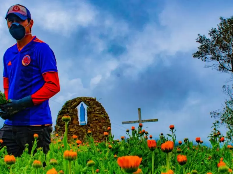 Cultivo de hierbas aromáticas en Chipaque, Cundinamarca