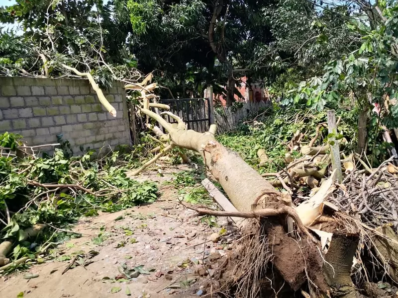 Lluvias