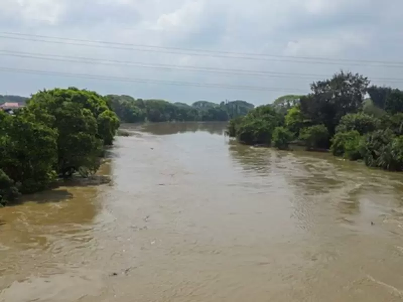 Algunas viviendas presentan inundaciones.
