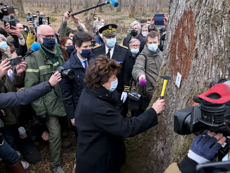 Robles para reconstruir la aguja de Notre Dame