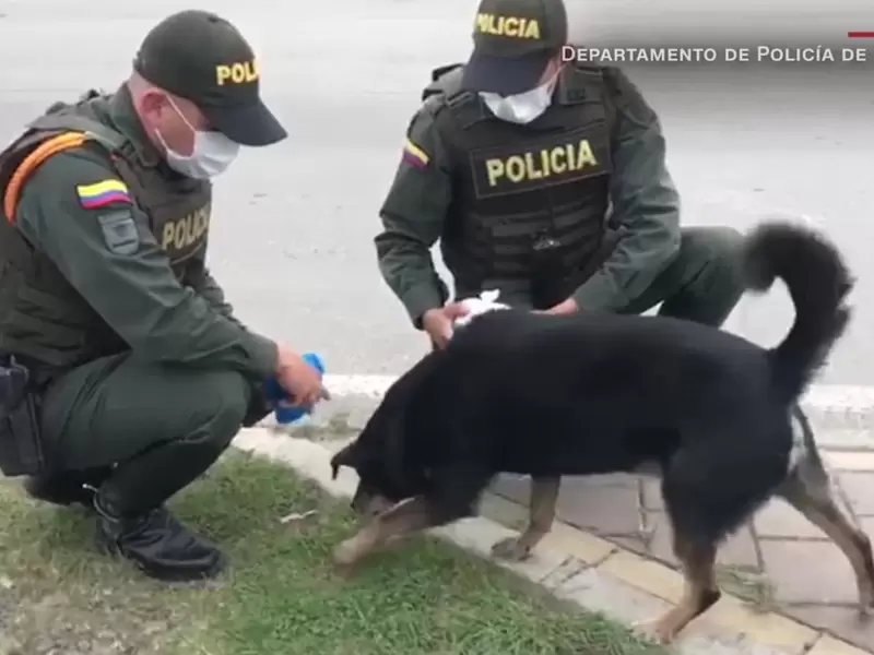 Policía en Norte de Santander