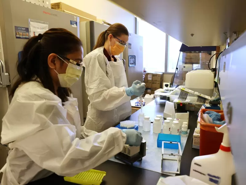 Vacunas laboratorio
