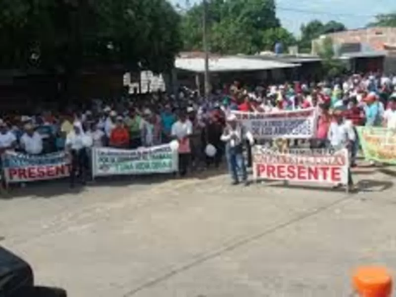 Arroceros en Norte de Santander