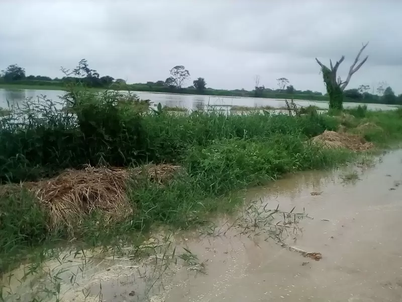 Las emergencias comenzaron ayer.