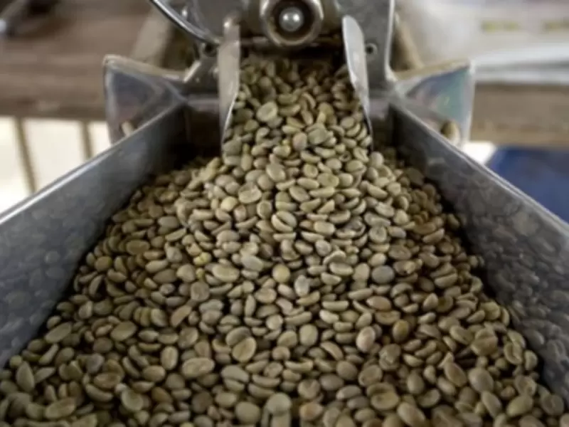 Grano de Café