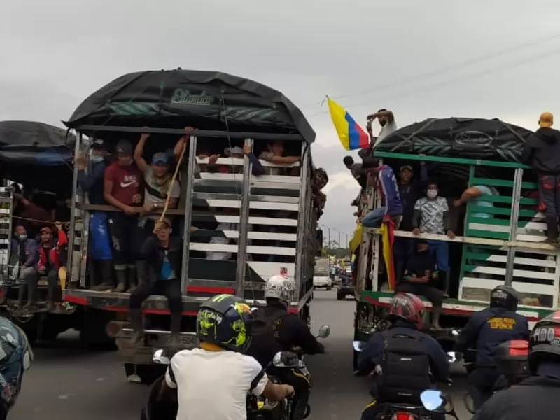 Campesinos