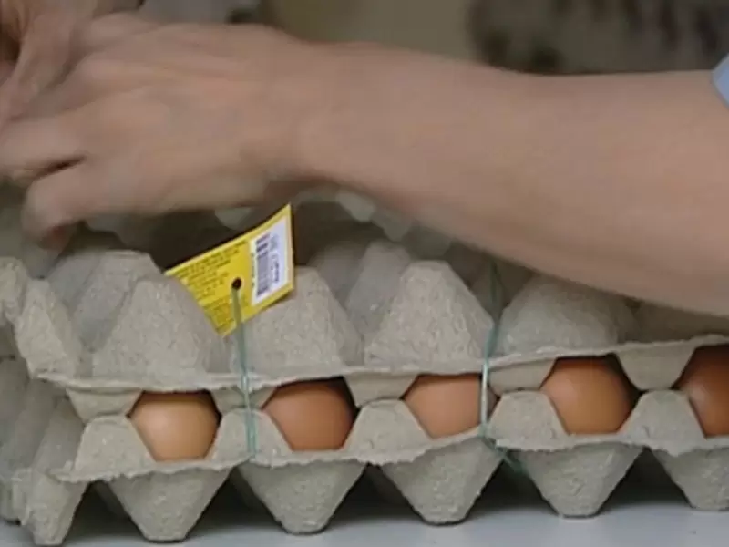 Imagen referencial huevos.