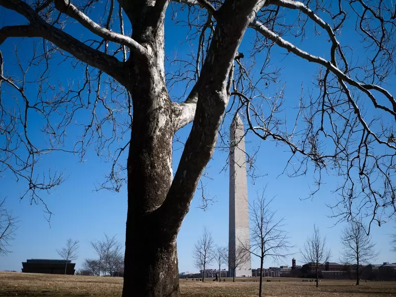 Washington DC