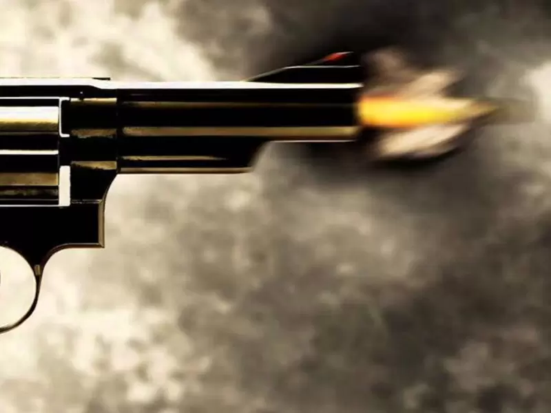 Imagen de referencia para hurto con arma de fuego