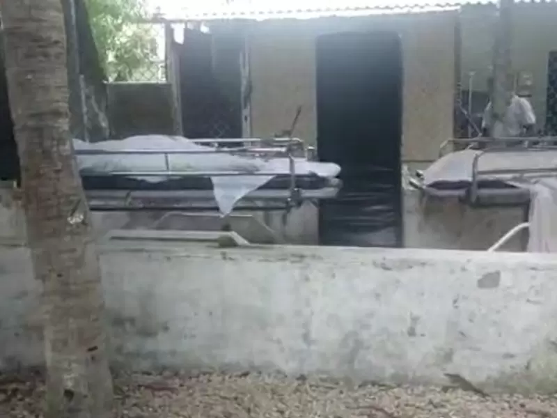 Muertos están en la intemperie