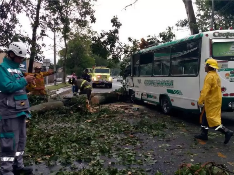 32 viviendas resultaron afectadas por las precipitaciones, informaron las autoridades.