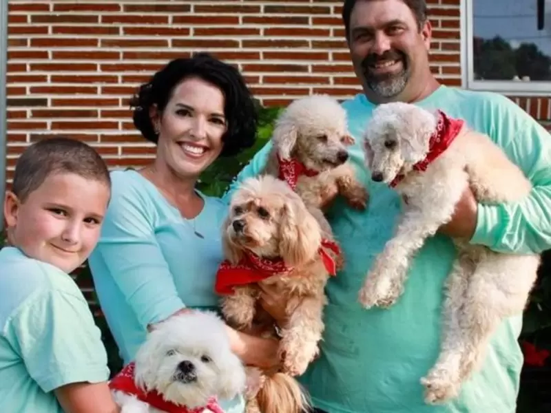 Perros mayores adoptados