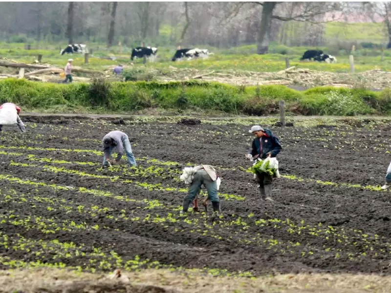 Agricultores