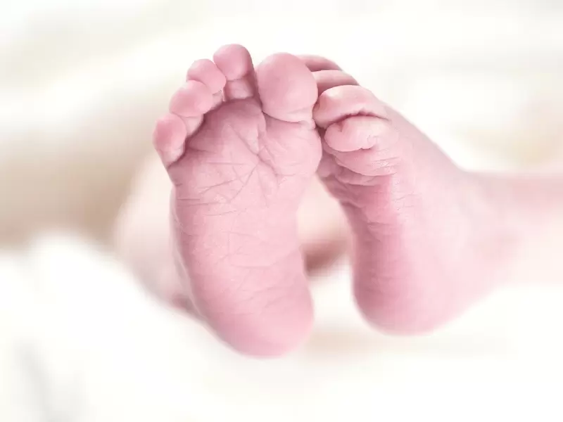 Bebés