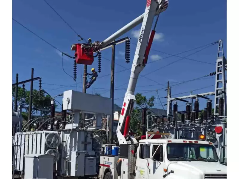 Electrificadora del Meta S.A E.S.P (EMSA)