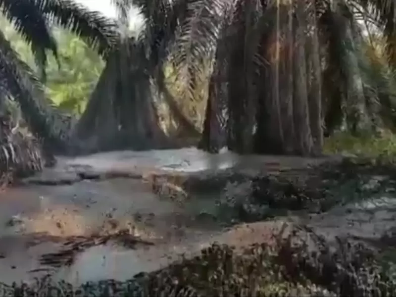 Los pescadores afectados serán indemnizados.