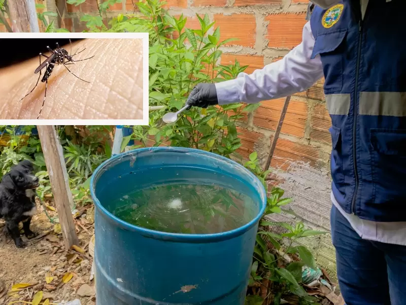Incremento de casos de dengue en Cartagena