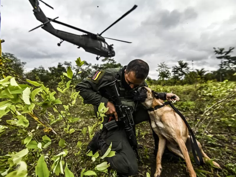 Policía Antinarcóticos - Lucha contra las drogas - Colombia - Tumaco - Cultivos ilícitos