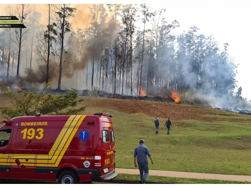 Accidente de avioneta en Brasil