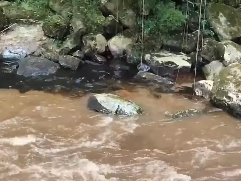 Evalúan daños ambientales en la zona
