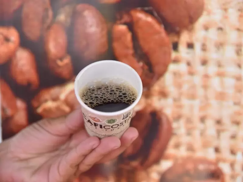 Cafeteros del Cesar quieren llegar al mercado internacional