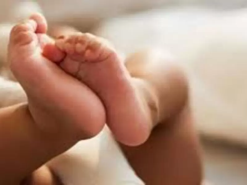 Bebé