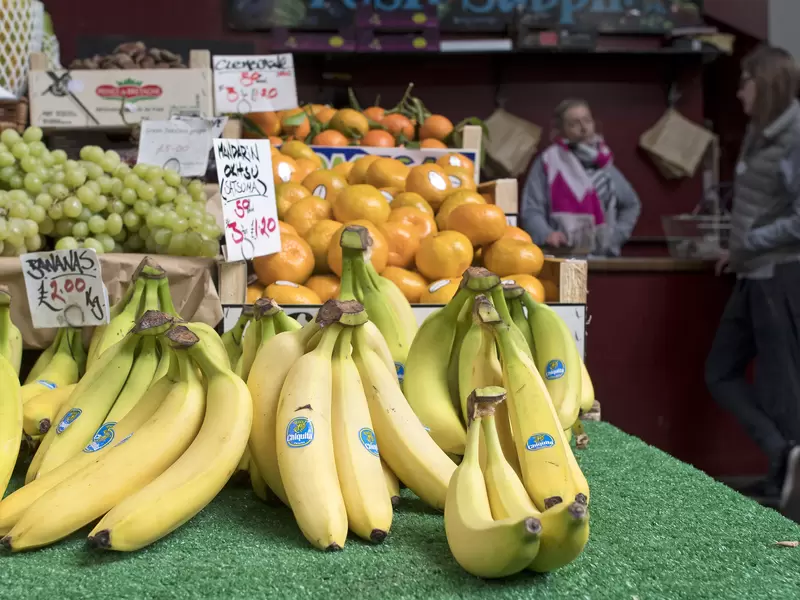 CHIQUITA BRANDS CHIQUITA BRANDS