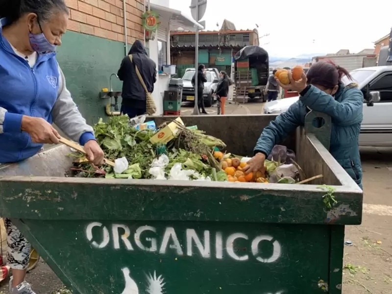 Recolectores de alimentos en Corabastos