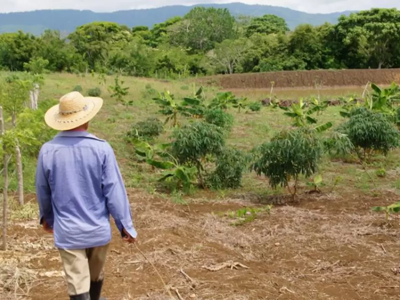 Restitución de tierras en Antioquia (imagen referencial).