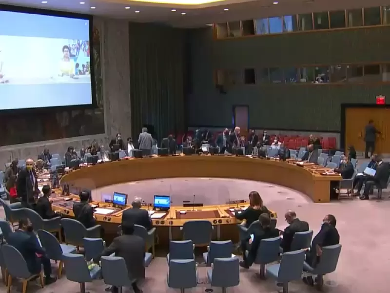Consejo de Seguridad de la ONU recibe informe sobre Colombia
