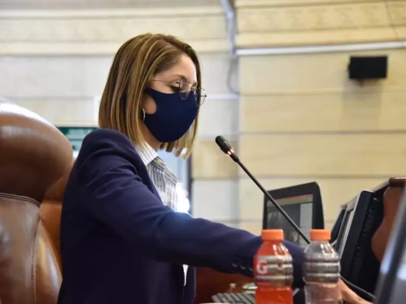 Jennifer Arias, presidenta de la Cámara