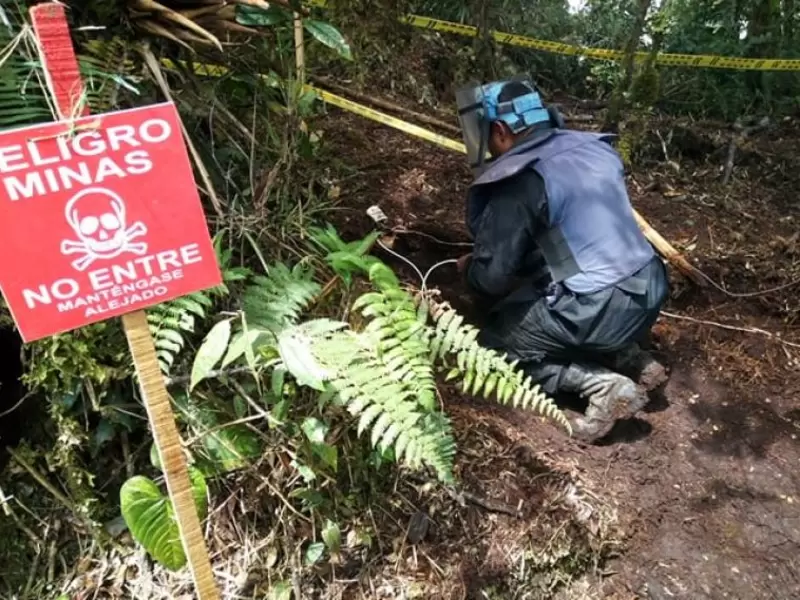 Referencia campo Minado