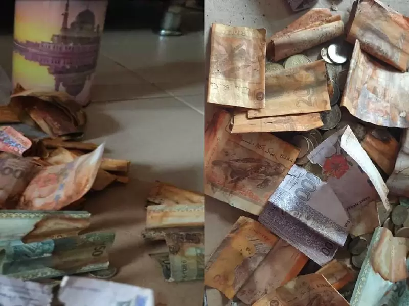 Ahorros perdidos por estar oxidados