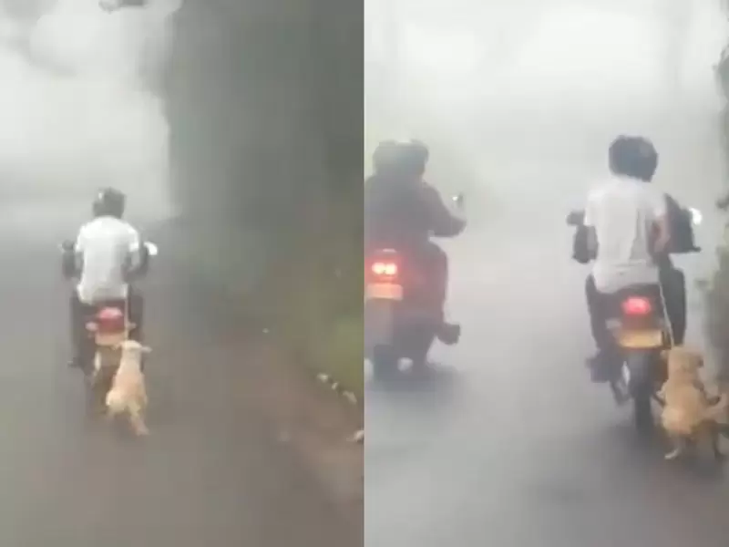 Perro arrastrado por una moto en Risaralda