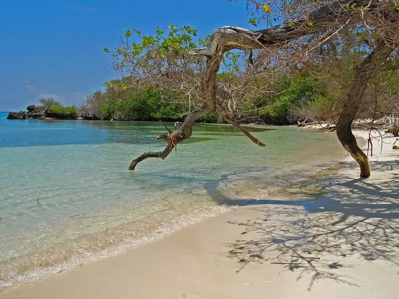 Parque Nacional Corales del Rosario y San Bernardo. Foto: Hernán Lopera/Parques Nacionales.