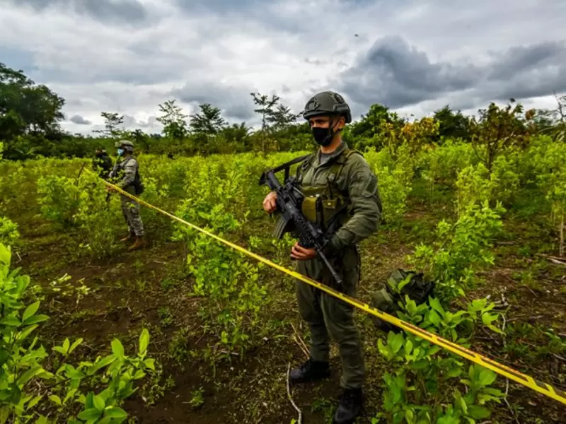Erradicación de cultivos de coca en Colombia