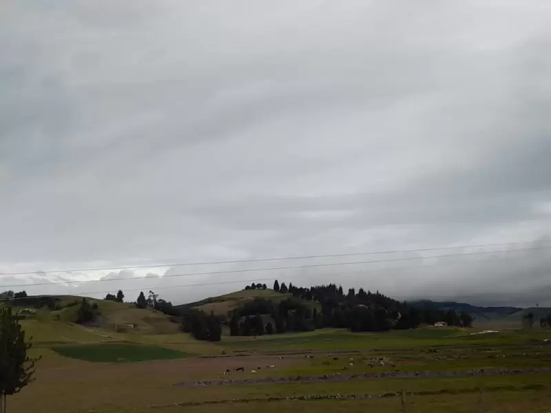 Solicitud, productores, Papa, Boyacá