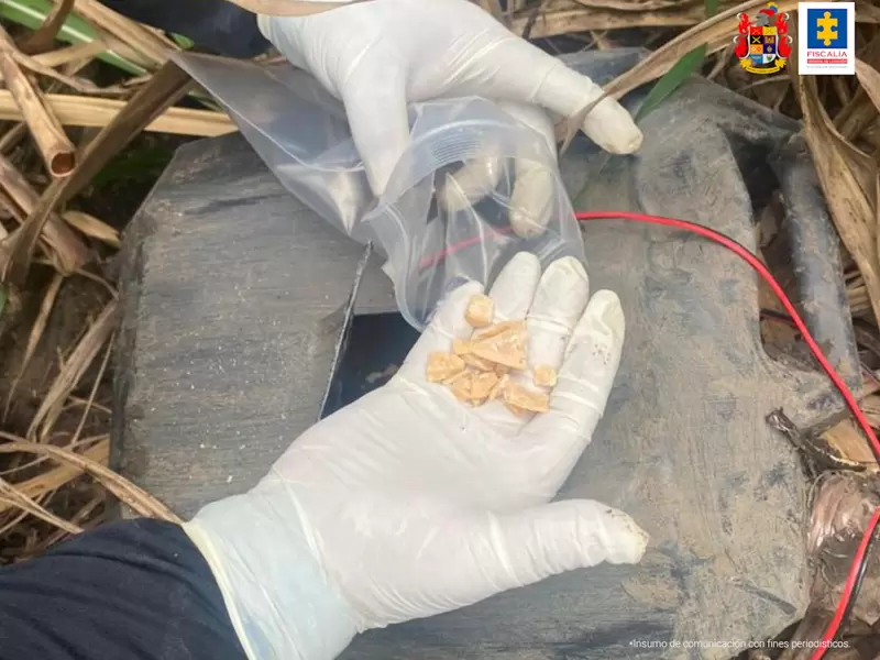 La detonación no dejó personas lesionadas.