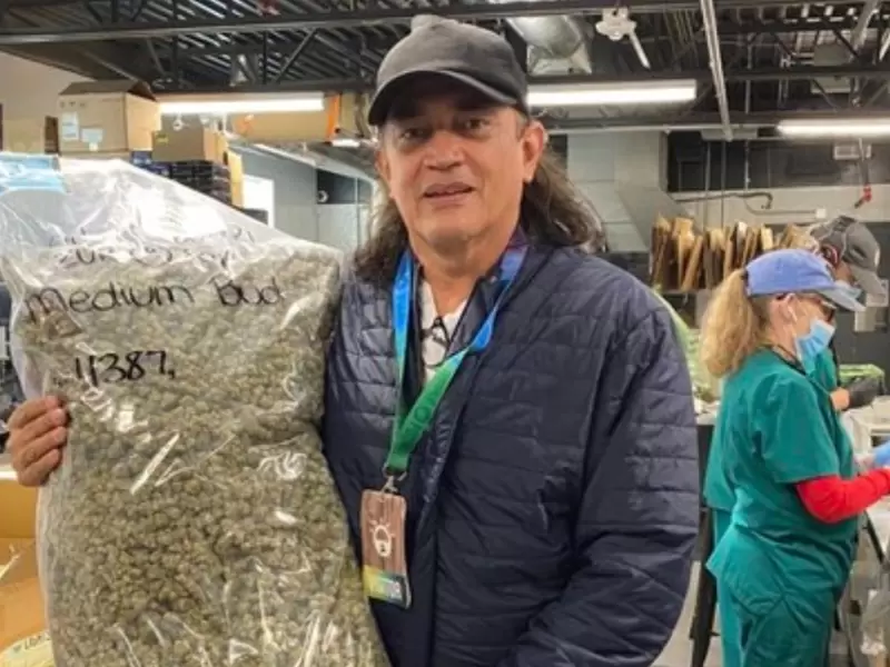 Gustavo Bolívar recibe 10 kilos de marihuana Gustavo Bolívar recibe 10 kilos de marihuana