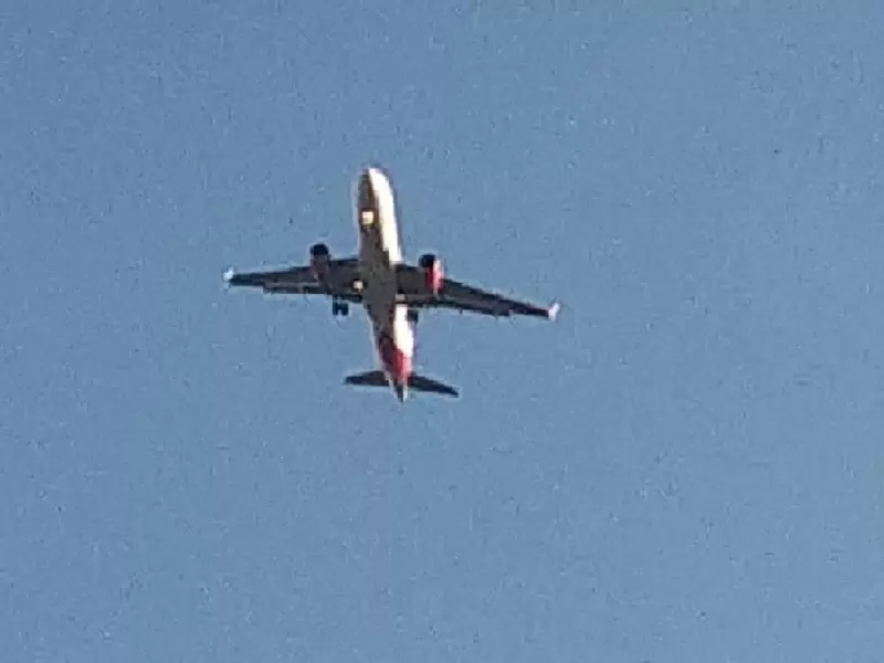Directivas de la Aerolínea anuncian Plan de Reorganización