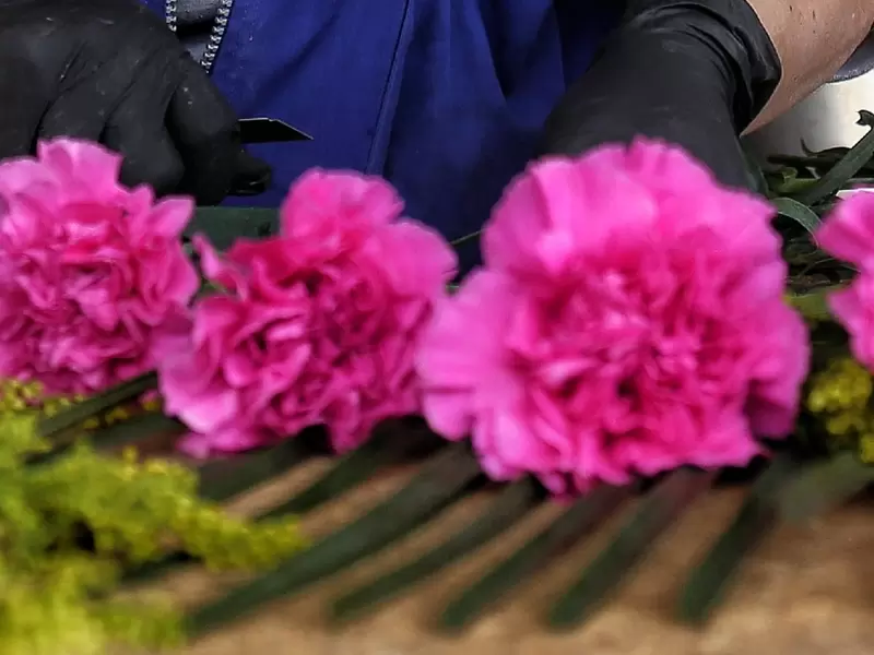 x Festival de las Flores Madrid Cundinamarca