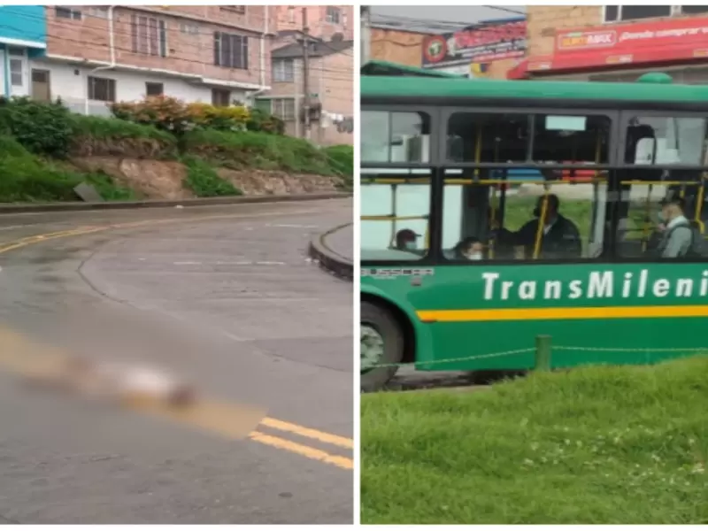 Perro atropellado en Ciudad Bolívar Perro atropellado en Ciudad Bolívar