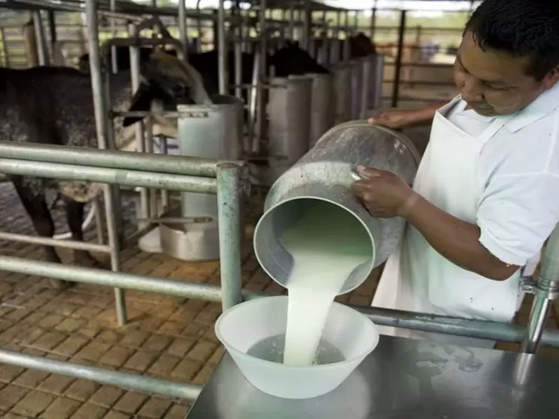 Productores leche