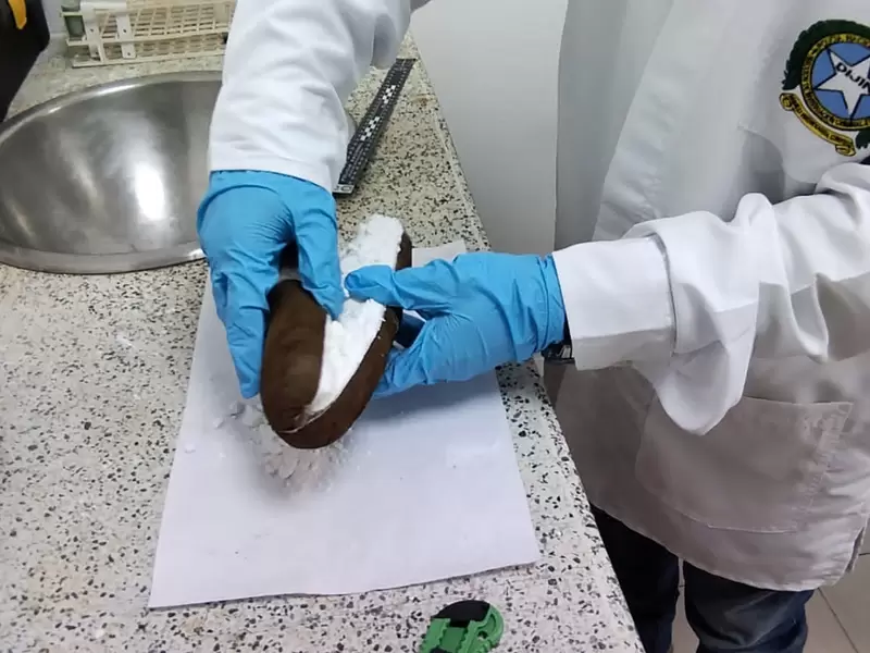 Traficantes esconden droga hasta en la yuca