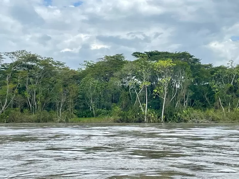 Río Magdalena el testigo directo de la violencia armada en Colombia