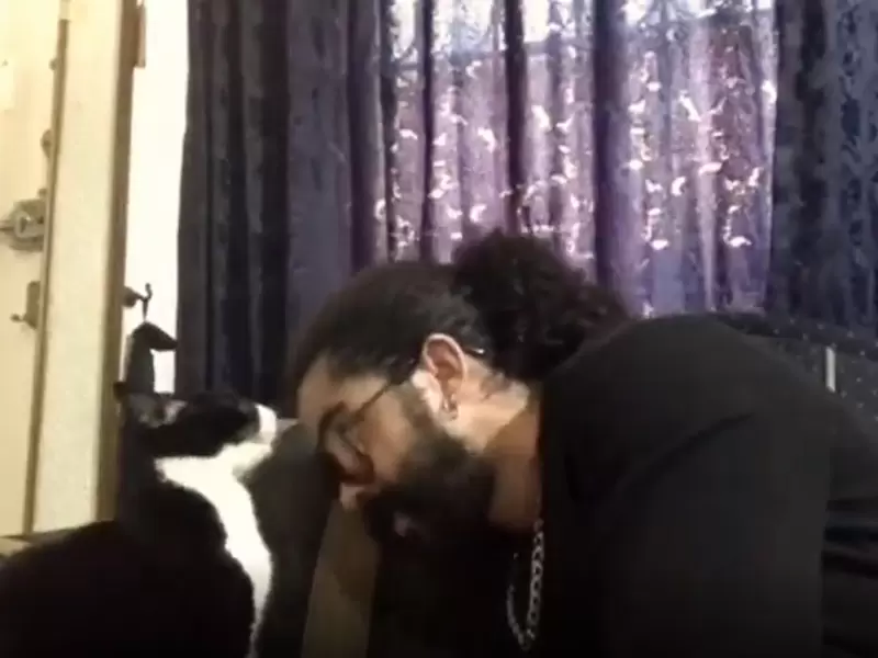 Veterinario cantando a una gata Veterinario cantando a una gata